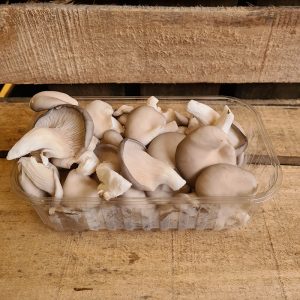 Ferme Trubuil Bot Vente directe Fruits Légumes Saclay